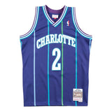 Charlotte Hornets Larry Johnson Purple 1994-95 Mitchell and Ness Swingman Jersey