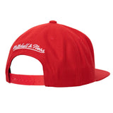 Mitchell & Ness NBA Chicago Bulls Team Ground 2.0 Snapback-Red