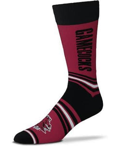 GO TEAM! -SOUTH CAROLINA SOCKS