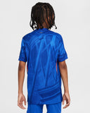Chelsea FC 2025/26 Stadium Home Big Kids' Nike Dri-FIT Soccer Replica Jersey